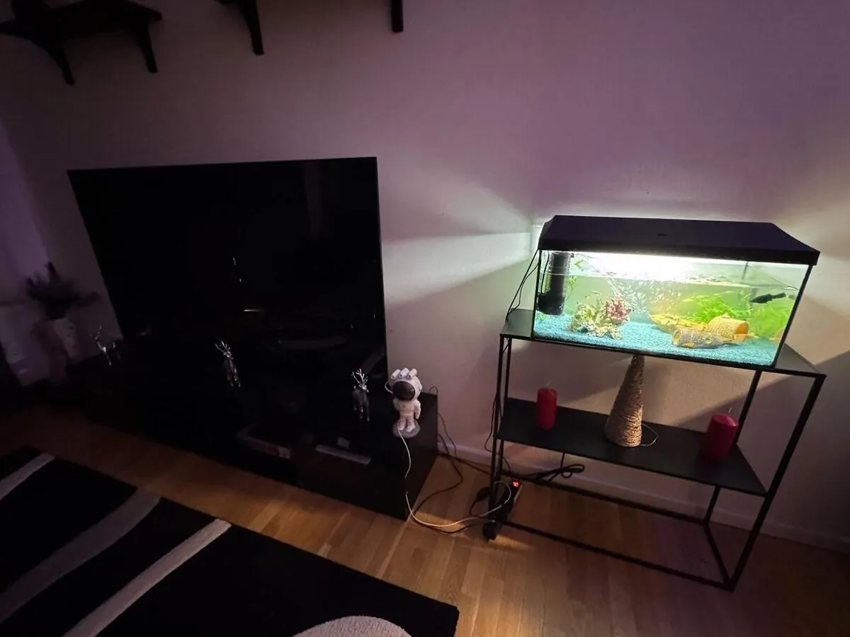Apartment In The Heart Of Dresden